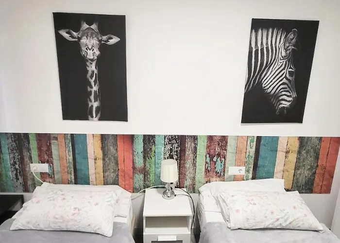 Www Goyahospitales Es 레온